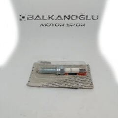 BUJI (PLUG SPARK)